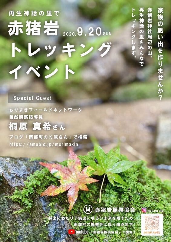 チラシ